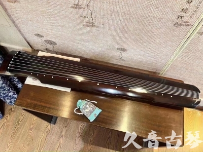 Featured Guqin Today（20230712）- Advanced Performance Zhongni Style