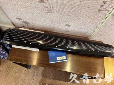 Featured Guqin Today（20231107）- Advanced Boutique Performance Chaos Style